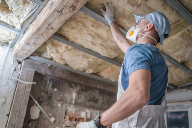 Best Insulation for Specific Applications in Long Prairie, MN