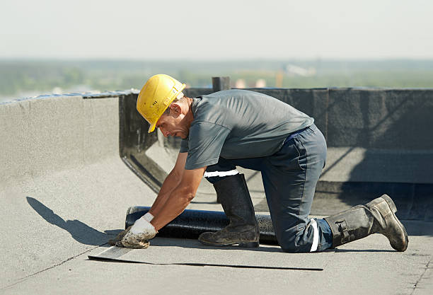Best Residential Insulation in Long Prairie, MN